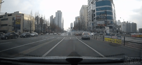 [블박] 패기있는 신호위반 | 인스티즈