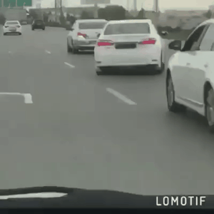 광기가 전염되는 과정.gif | 인스티즈