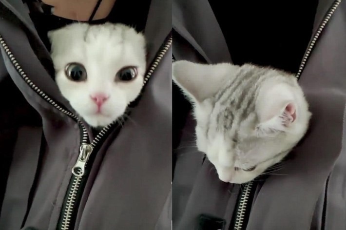 위험한 것을 품고 다니는 남자 ㄷㄷ | 인스티즈