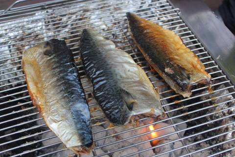 고등어 구이 vs 갈치 구이.jpg | 인스티즈