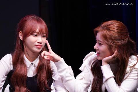 아이즈원) 워뇽광배쌈무 | 인스티즈