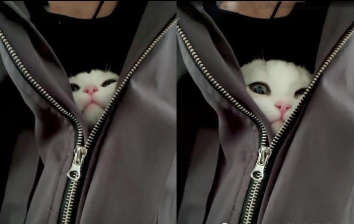 위험한 것을 품고 다니는 남자 ㄷㄷ | 인스티즈