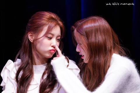 아이즈원) 워뇽광배쌈무 | 인스티즈