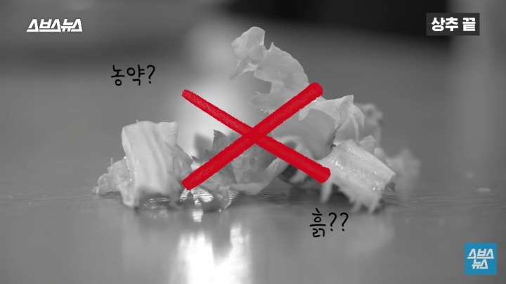 상추 끝부분 먹는다 vs 안먹는다 | 인스티즈