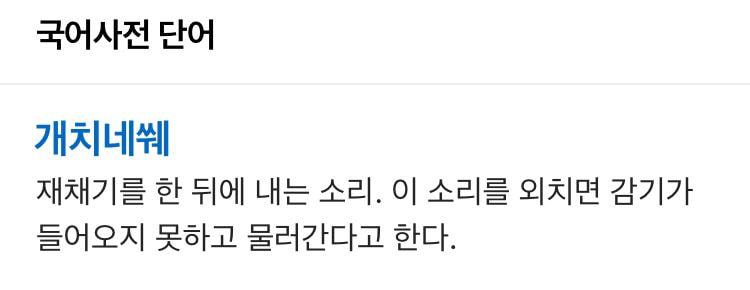 난생 처음보는 한국말 | 인스티즈