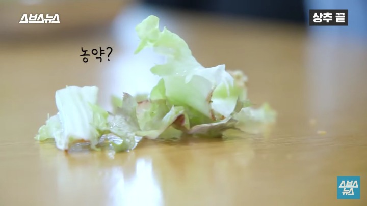 상추 끝부분 먹는다 vs 안먹는다 | 인스티즈