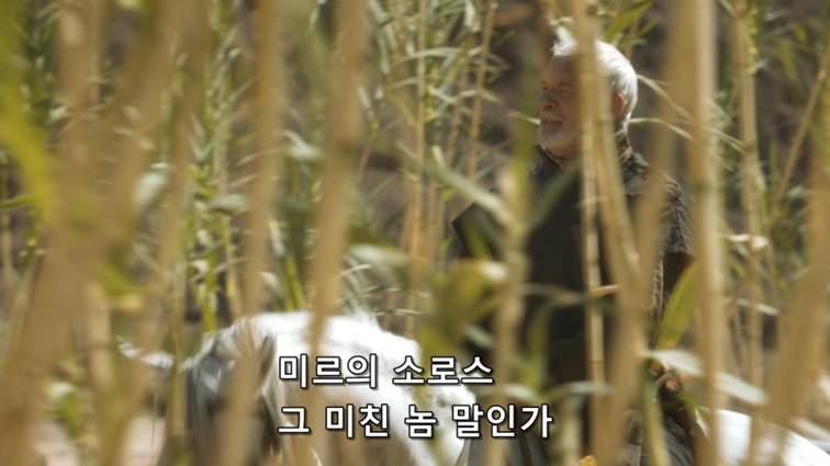 [왕좌의게임] 폭풍의 딸 37화 | 인스티즈