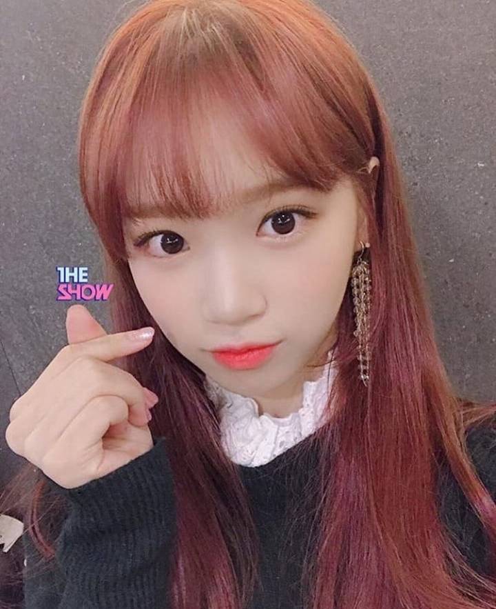 아이즈원) 채원이 보고가세여 | 인스티즈