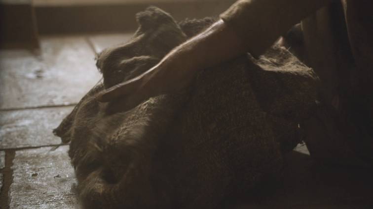 [왕좌의게임] 폭풍의 딸 47화 | 인스티즈