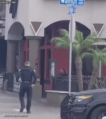 제압하는 미국경찰 | 인스티즈