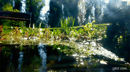 물밑으로 들어가보자.GIF | 인스티즈