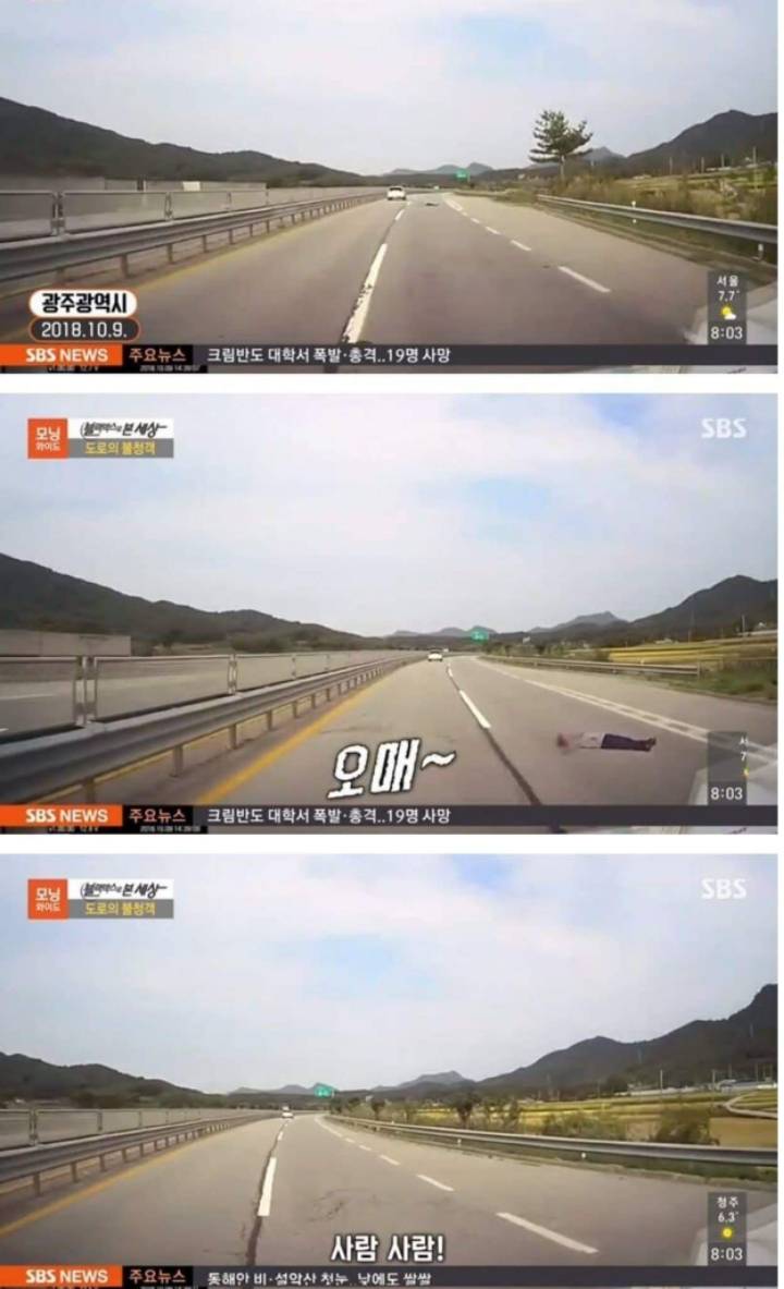 도로의 불청객.jpg | 인스티즈