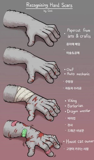 고양이 모시는 집사 종특 | 인스티즈