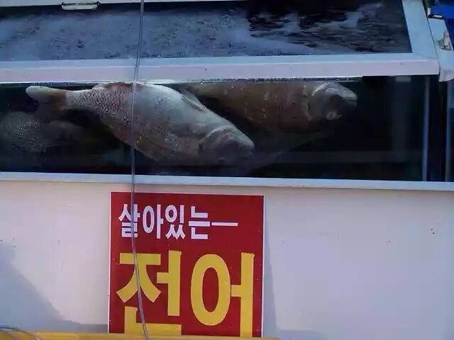 뭔가 잘못된 것 같은 기분 | 인스티즈