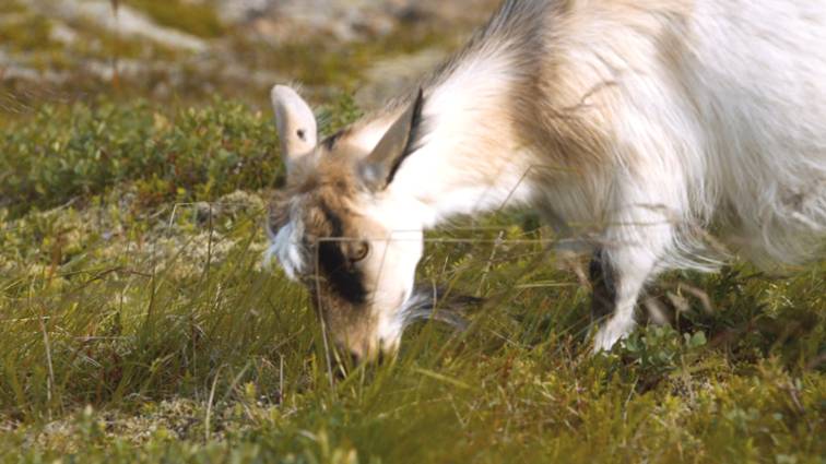 [왕좌의게임] 폭풍의 딸 47화 | 인스티즈