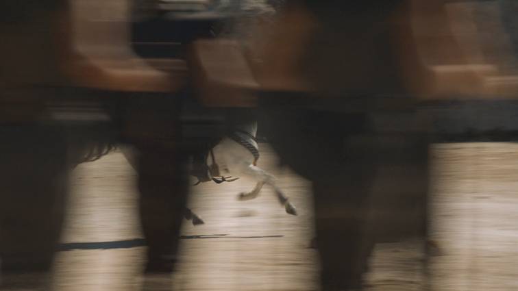 [왕좌의게임] 폭풍의 딸 44화 | 인스티즈