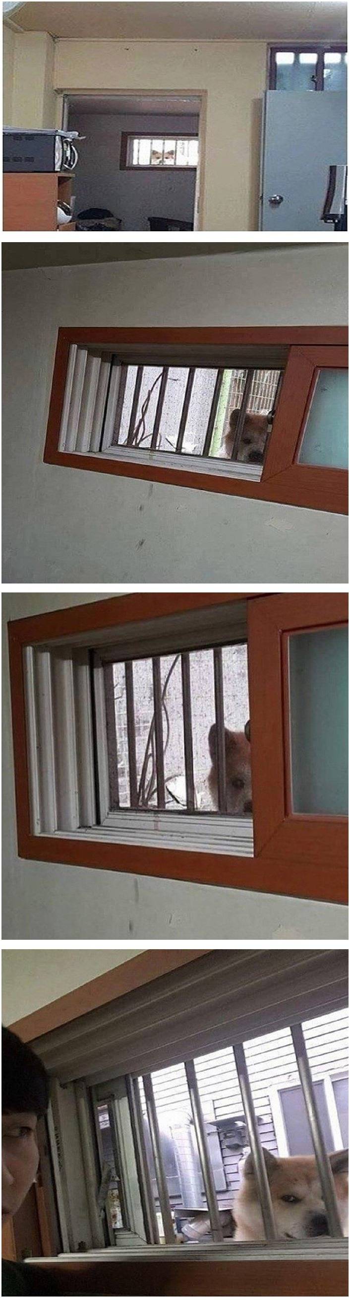 창밖에 누군가 보고 있다 | 인스티즈