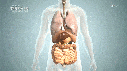 암중에 가장 무서운 암 | 인스티즈