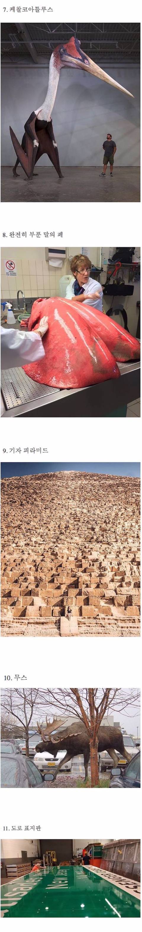 생각보다 거대한 것들.jpg | 인스티즈