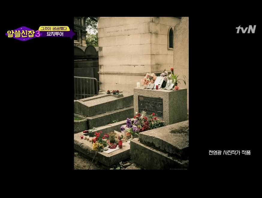 [알쓸신잡3] 마지막회에서 사진 무단도용에 대해 사과한 알쓸신잡 | 인스티즈