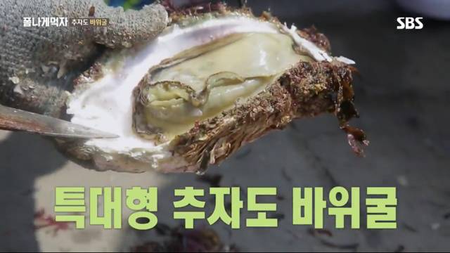 추자도 바위굴 먹는 트와이스 정연X다현.jpg | 인스티즈
