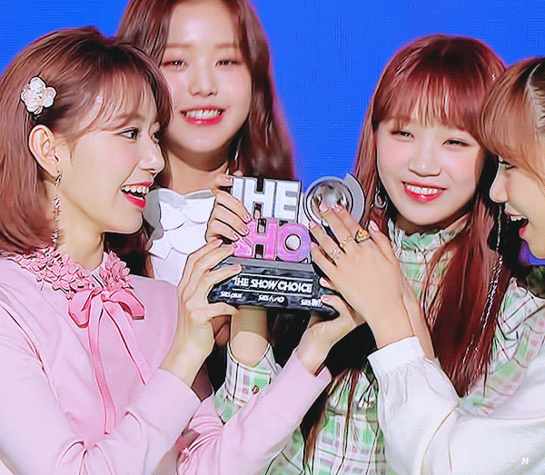 데뷔 한달반동안 트로피 6개 수집한 아이즈원 ㄷㄷ | 인스티즈