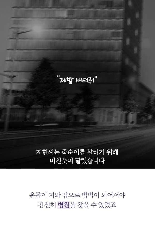 칼에 찔렸던 유기견 죽순이에게 일어난 기적 | 인스티즈