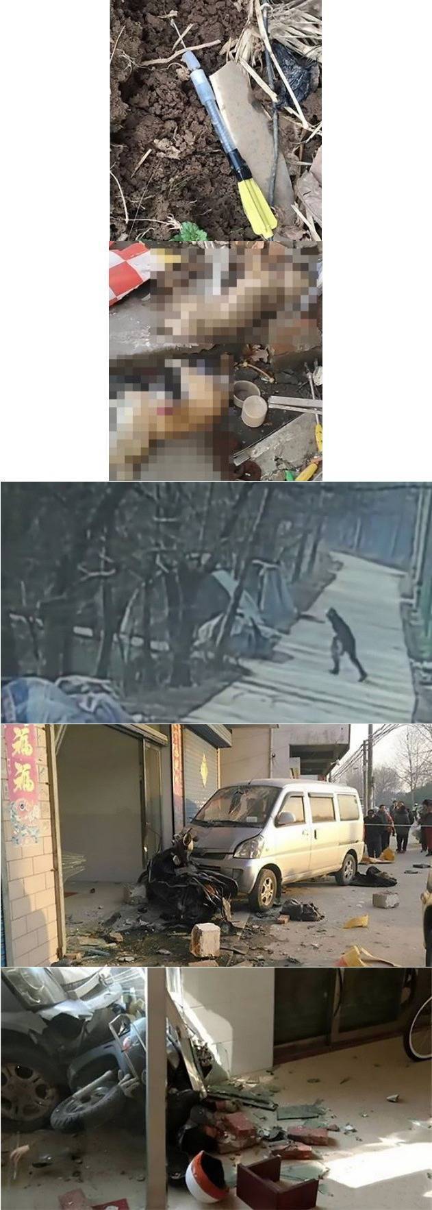 강아지를 독살하고 다니던 남성 견주에 의해 사망 | 인스티즈