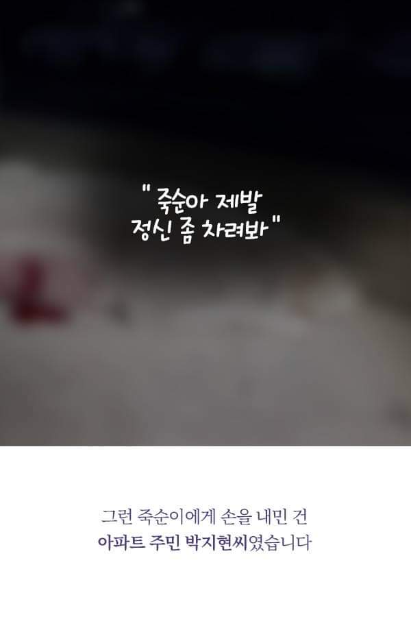 칼에 찔렸던 유기견 죽순이에게 일어난 기적 | 인스티즈