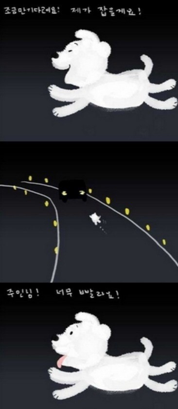 주인에게 버림받은 강아지 | 인스티즈