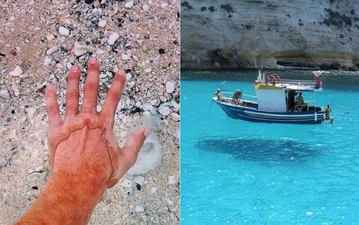 세계에서 가장 맑은 호수.jpg | 인스티즈