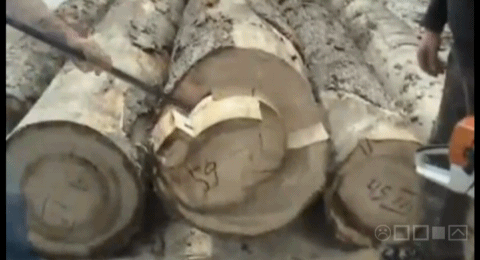 중국의 담배 밀수 | 인스티즈