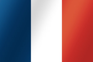 두 나라 언어중 하나만 마스터 할 수 있다면? | 인스티즈