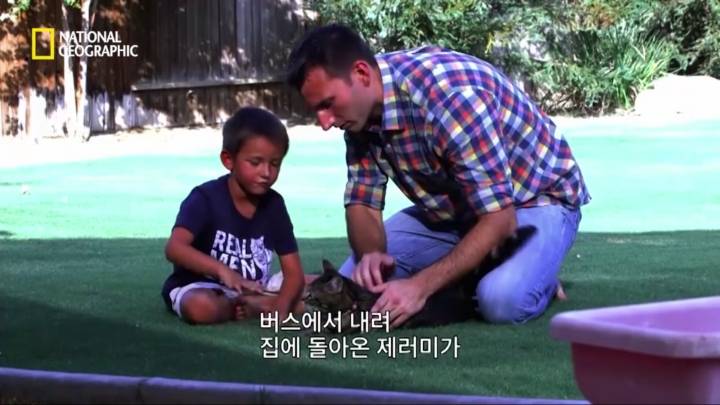 몸을 날려 아이를 구한 고양이 | 인스티즈