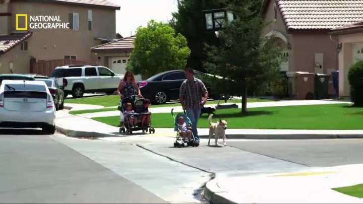 몸을 날려 아이를 구한 고양이 | 인스티즈