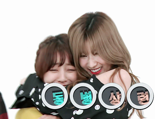 지효한테 사랑받고 싶은 사나 .gif | 인스티즈