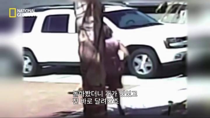 몸을 날려 아이를 구한 고양이 | 인스티즈