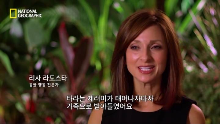 몸을 날려 아이를 구한 고양이 | 인스티즈