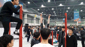 턱걸이 제대로 하는 여자.gif | 인스티즈