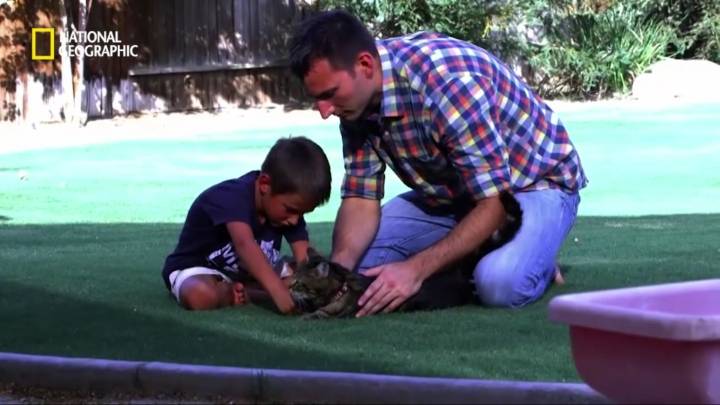 몸을 날려 아이를 구한 고양이 | 인스티즈