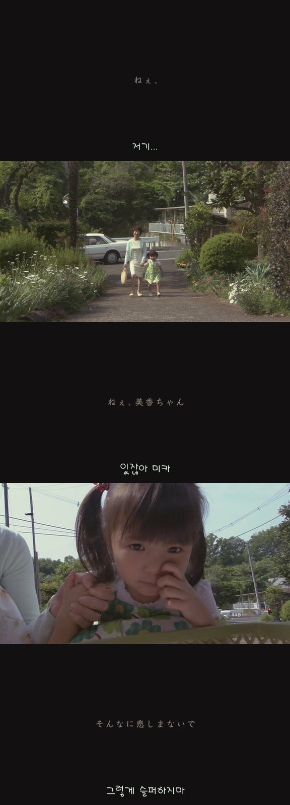 강아지의 삶 | 인스티즈