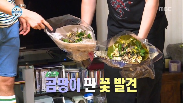 자연사박물관이 따로없는(?) 김제동 하우스jpg | 인스티즈