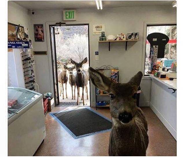 ??? : 친구들 데려왔는데 집에서 놀아도 돼? | 인스티즈