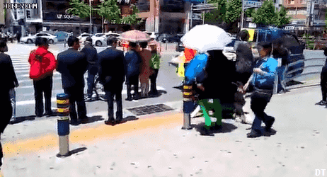 부산 동래역 앞에서 일어난 기적.gif | 인스티즈