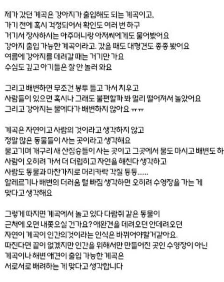 강아지는 계곡에 들어가면 안되나요? | 인스티즈