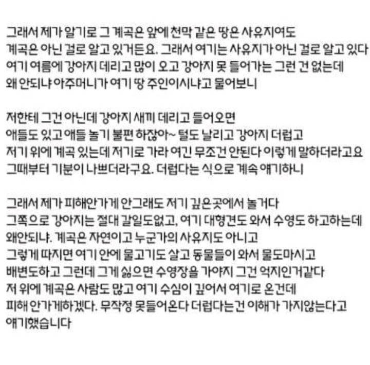 강아지는 계곡에 들어가면 안되나요? | 인스티즈