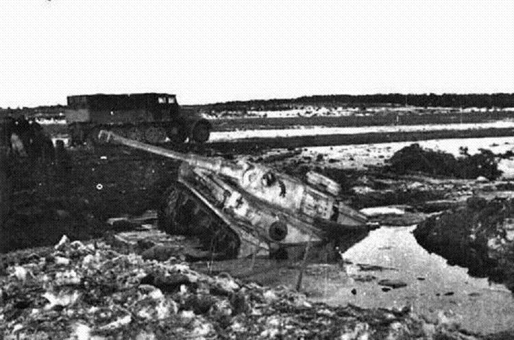 몽고,히틀러를 격퇴한 러시아의 라스푸치타 | 인스티즈