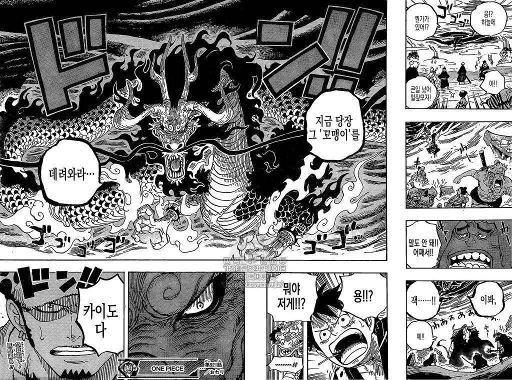 [원피스] 루피네가 카이도 잡기위해서는 몆명이 필요할까? | 인스티즈