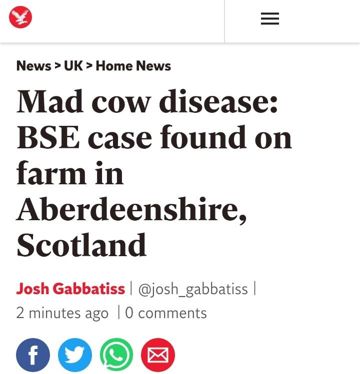 [인디펜던트] 스코틀랜드 한 농장에서 광우병 발생 | 인스티즈