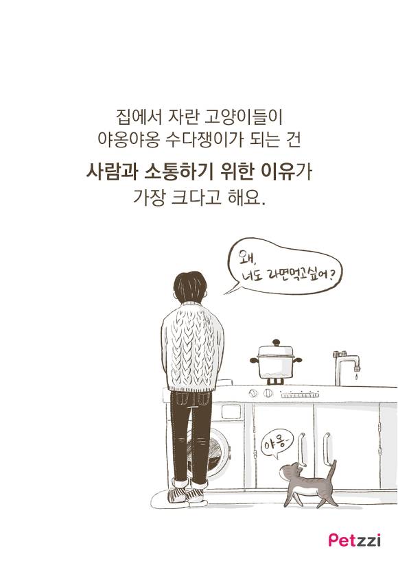 우리집 고양이는 소통왕(만화).jpg | 인스티즈